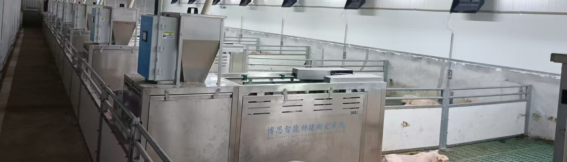 工程案例展示-國(guó)家級(jí)核心種豬場(chǎng)-武漢博思智農(nóng)科技有限公司